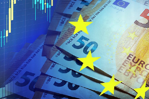 全国同步调查 泉州稀有候鸟数量稳步上升